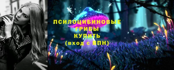 СК Дмитриев
